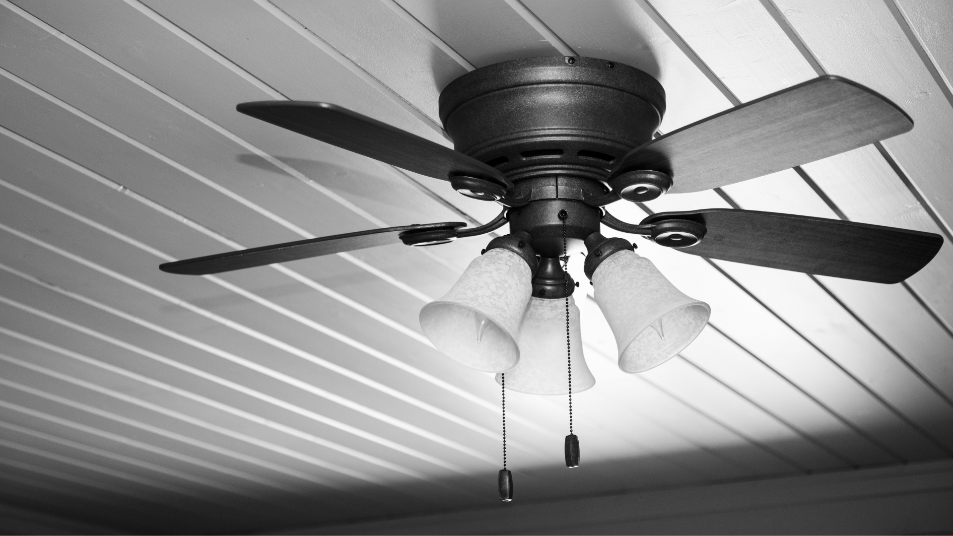AC Maintenance - True AC of Southwest Florida in Southwest Florida